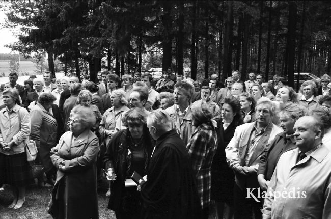 pavadinimas: Vanagų bažnyčiai – arch. paminklo statusas, raktai:  